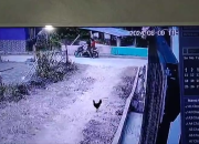 Terekam CCTV, Dua Pria Bawah Lari Bocah Tiga Tahun
