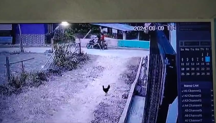 Terekam CCTV, Dua Pria Bawah Lari Bocah Tiga Tahun