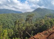 Puluhan Warga Melawan, Akibat Lahan Dirampas Dan Dijual Sepihak di Perusahan Tambang