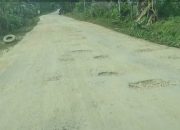  MPR Menduga Ada Peran Eks Pj Bupati Atas Mangkraknya Proyek Jalan Alangga-Tinanggea