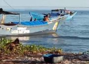 Heboh! Penyelundupan Solar Ilegal 10 Ton di Kolut Diduga Dibekingi Oknum Polisi
