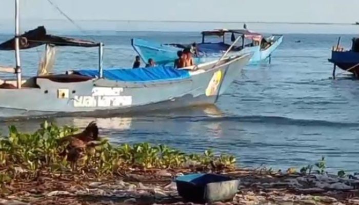 Heboh! Penyelundupan Solar Ilegal 10 Ton di Kolut Diduga Dibekingi Oknum Polisi