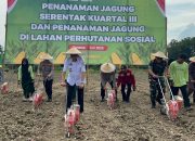 Dukung Ketahanan Pangan, Kapolda Sultra Bersama Forkopimda Laksanakan Penanaman Jagung Kuartal III di Kabupaten Konawe