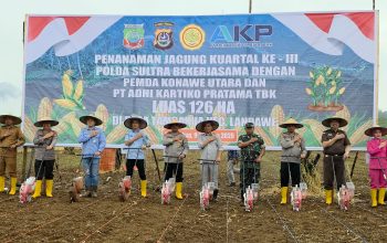 Tanam Jagung di Konawe Utara, Wujud Keseriusan Polda Sultra Dukung Ketahanan Pangan