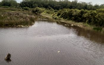 ‎Konsorsium Masyarakat Lingkar Tambang Bersatu Ultimatum PT SEI, PT GNI, dan PT NNI, Segera Ganti Rugi Nelayan dan Petani Tambak