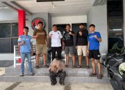 Polisi Bongkar Aksi IRT di Kolaka, 17 Sachet Sabu Ditemukan di Dalam Rumah