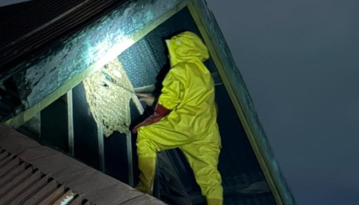 Damkar Kendari Evakuasi Sarang Tawon di Rumah Warga Korumba