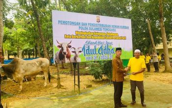 Polda Sultra Kurban 362 Ekor Sapi dan 11 Kambing untuk Masyarakat