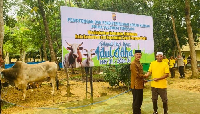 Polda Sultra Kurban 362 Ekor Sapi dan 11 Kambing untuk Masyarakat