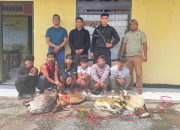 Polsek Mawasangka Ringkus Enam Pelaku Pencurian Empat Ekor Kambing di Pelabuhan Waara