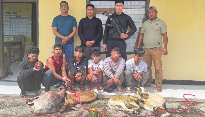 Polsek Mawasangka Ringkus Enam Pelaku Pencurian Empat Ekor Kambing di Pelabuhan Waara