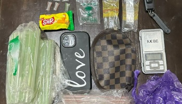Perempuan Pengedar Sabu di Kendari Dibekuk, Polisi Sita 43 Paket Narkotika