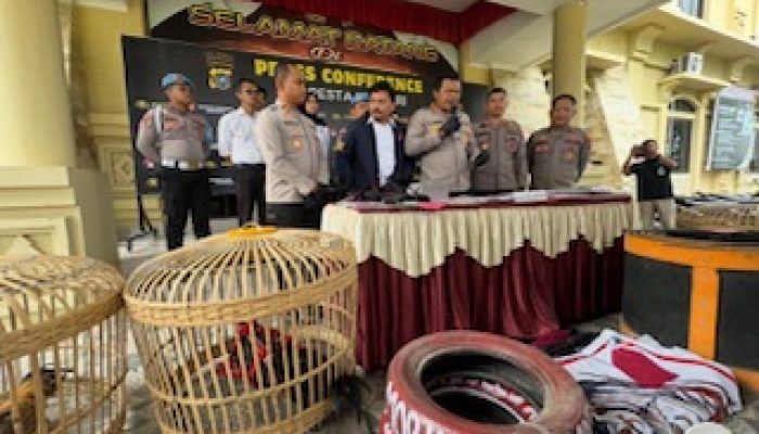 Polresta Kendari Gerebek Judi Sabung Ayam di Mandonga