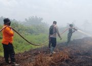 Kobaran Api Lahap 10 Hektare Lahan Gambut di Koltim, Polri dan Tim Gabungan Bergerak Cepat