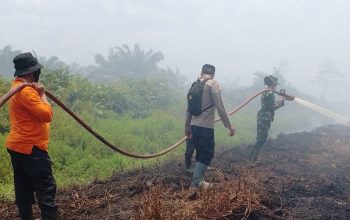 Kobaran Api Lahap 10 Hektare Lahan Gambut di Koltim, Polri dan Tim Gabungan Bergerak Cepat