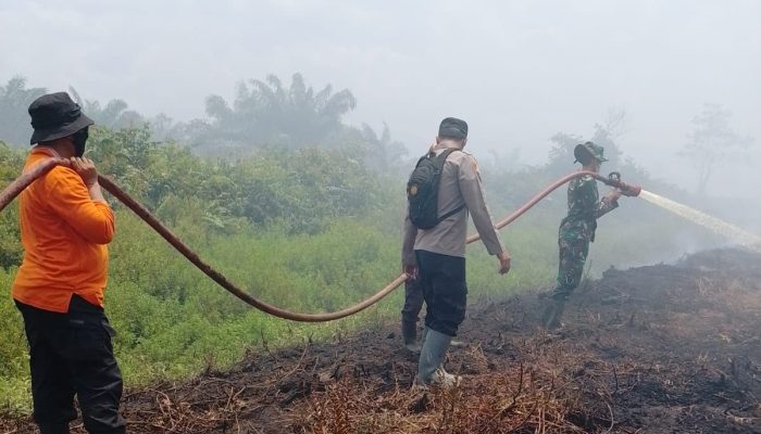 Kobaran Api Lahap 10 Hektare Lahan Gambut di Koltim, Polri dan Tim Gabungan Bergerak Cepat