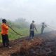 Kobaran Api Lahap 10 Hektare Lahan Gambut di Koltim, Polri dan Tim Gabungan Bergerak Cepat