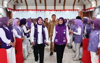 336 Ketua Posyandu Desa dan 15 Kelurahan Ikuti Workshop Penguatan Posyandu 6 SPM di Konsel