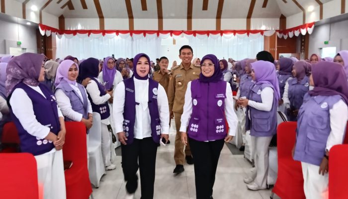336 Ketua Posyandu Desa dan 15 Kelurahan Ikuti Workshop Penguatan Posyandu 6 SPM di Konsel