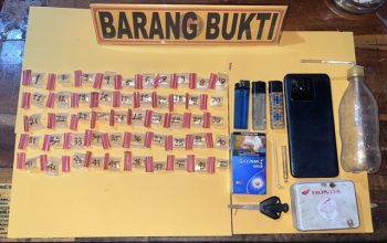 Simpan 50 Sachet Sabu, Pemuda 20 Tahun di Moramo Konawe Selatan Dibekuk Polisi